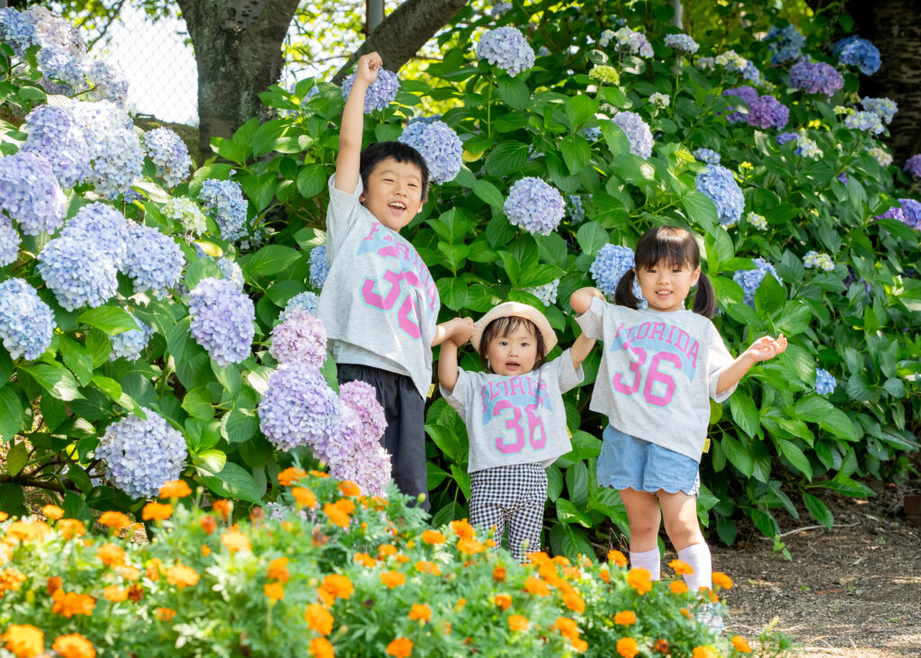 紫陽花撮影会,ロケフォト