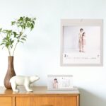 キャンペーン，お宮参り，七五三，ニューボーン，バースデー