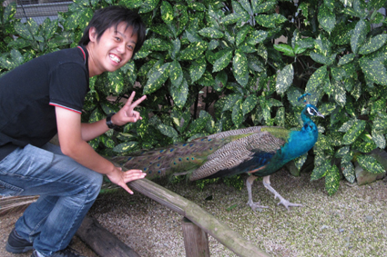 松江フォーゲルパーク