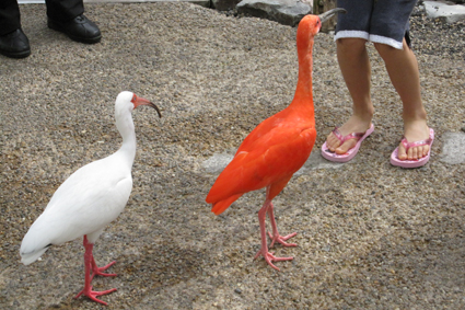 お宮参り　倉敷　早島　岡山