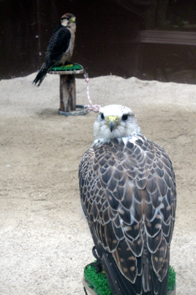 松江フォーゲルパーク