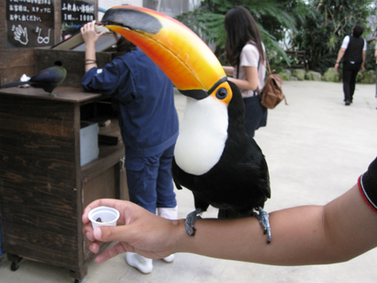 松江フォーゲルパーク