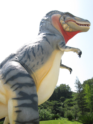 カブトガニ博物館