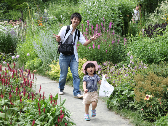 風のガーデン 風のガーデン