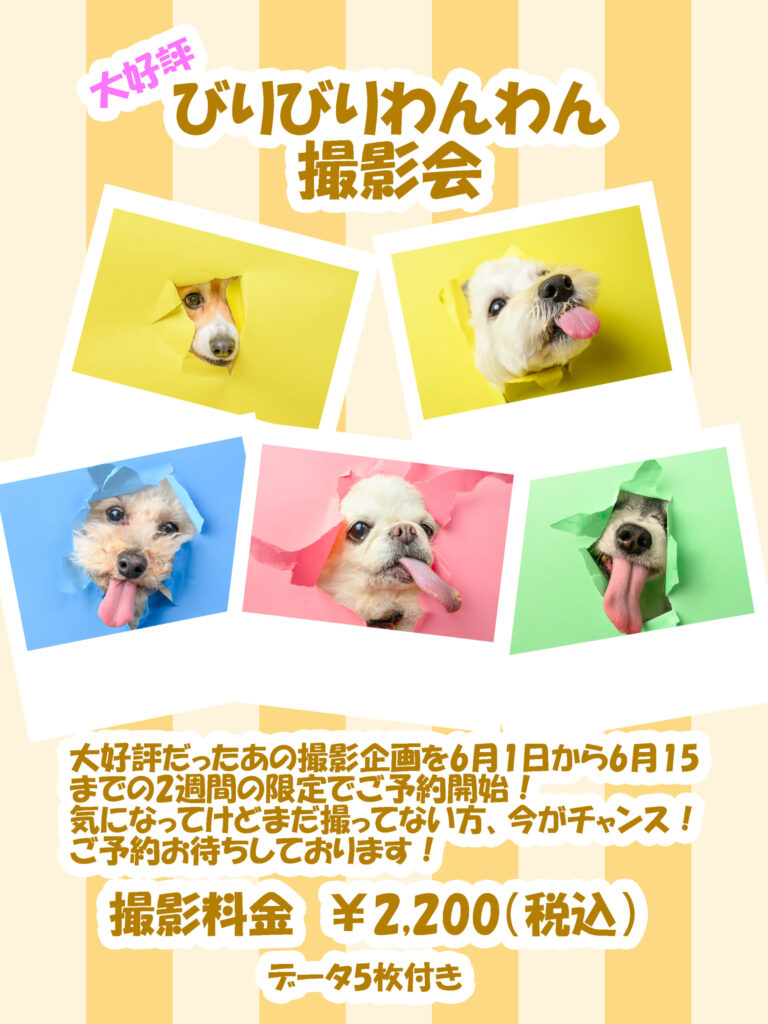 ワンコ,わんこイベント